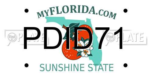 PDID71 Florida License Plate