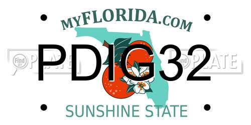 PDIG32 Florida License Plate