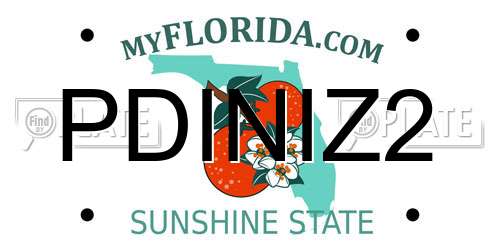 PDINIZ2 Florida License Plate