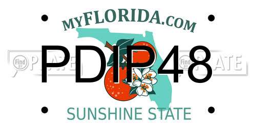 PDIP48 Florida License Plate