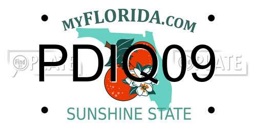 PDIQ09 Florida License Plate