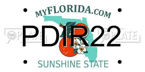 PDIR22 Florida License Plate
