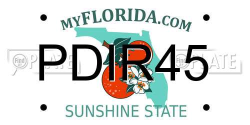 PDIR45 Florida License Plate