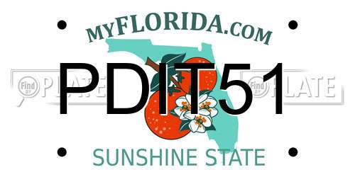 PDIT51 Florida License Plate
