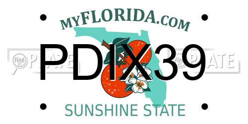 PDIX39 Florida License Plate