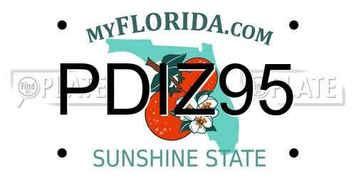 PDIZ95 Florida License Plate