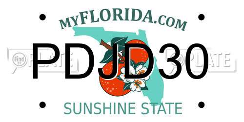 PDJD30 Florida License Plate