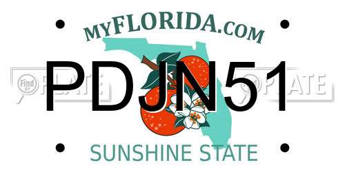 PDJN51 Florida License Plate