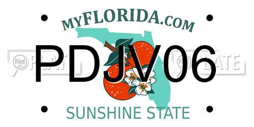 PDJV06 Florida License Plate