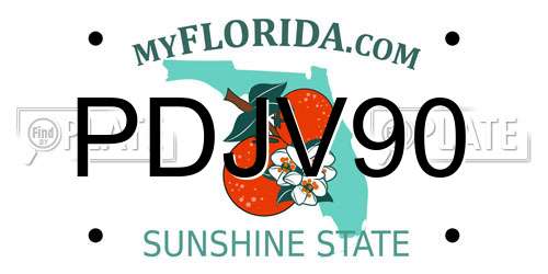 PDJV90 Florida License Plate
