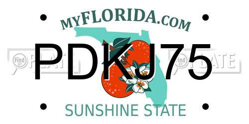 PDKJ75 Florida License Plate