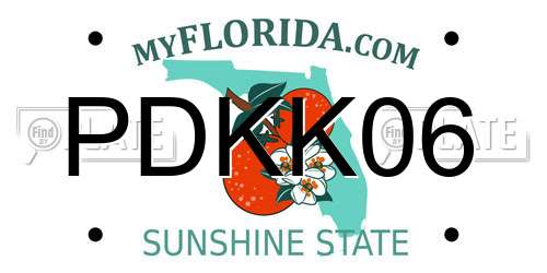 PDKK06 Florida License Plate