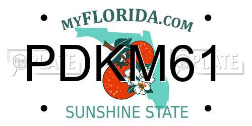 PDKM61 Florida License Plate