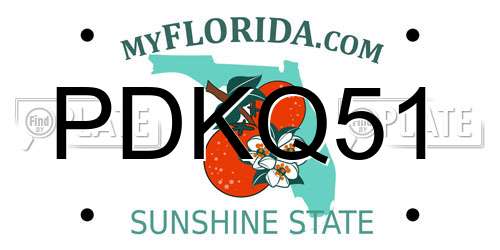 PDKQ51 Florida License Plate