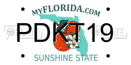 PDKT19 Florida License Plate