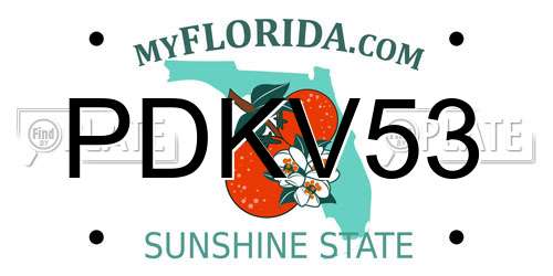 PDKV53 Florida License Plate