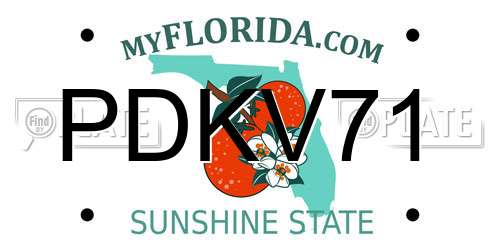 PDKV71 Florida License Plate