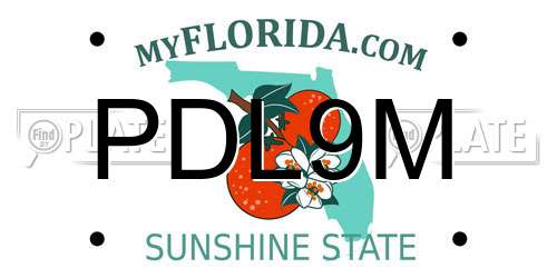 PDL9M Florida License Plate