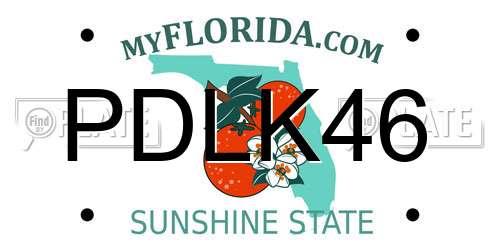 PDLK46 Florida License Plate