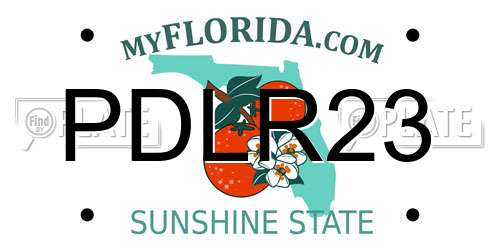 PDLR23 Florida License Plate