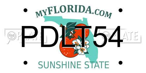 PDLT54 Florida License Plate