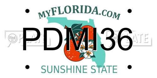 PDMI36 Florida License Plate