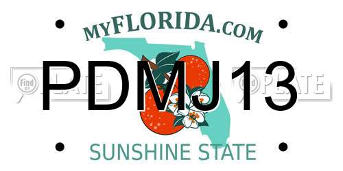 PDMJ13 Florida License Plate