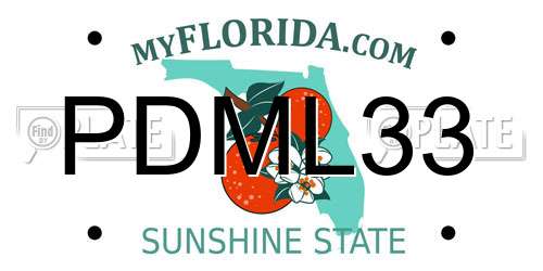 PDML33 Florida License Plate