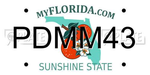 PDMM43 Florida License Plate