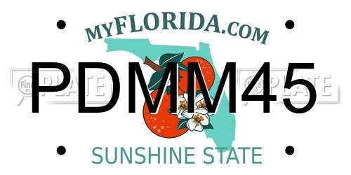 PDMM45 Florida License Plate