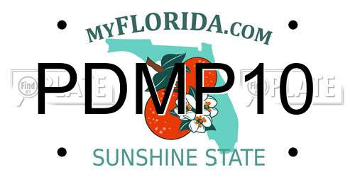 PDMP10 Florida License Plate