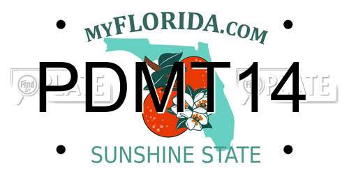 PDMT14 Florida License Plate
