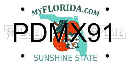 PDMX91 Florida License Plate