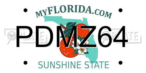PDMZ64 Florida License Plate