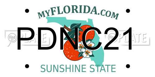PDNC21 Florida License Plate