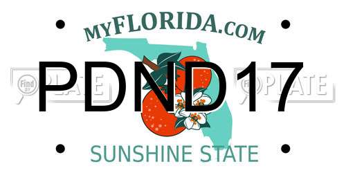 PDND17 Florida License Plate
