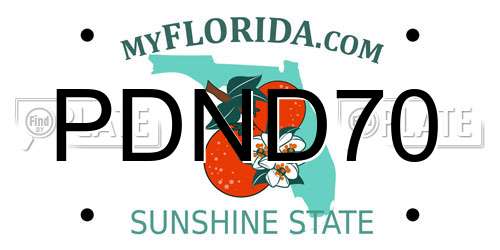 PDND70 Florida License Plate