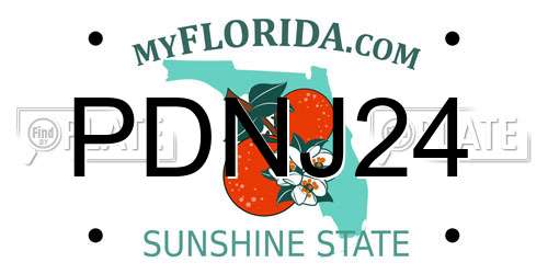 PDNJ24 Florida License Plate