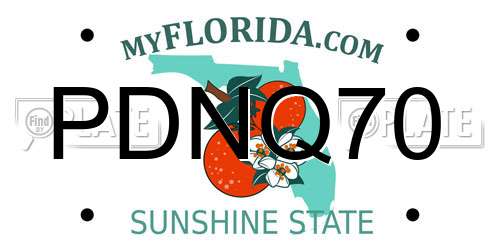 PDNQ70 Florida License Plate