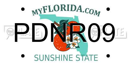 PDNR09 Florida License Plate