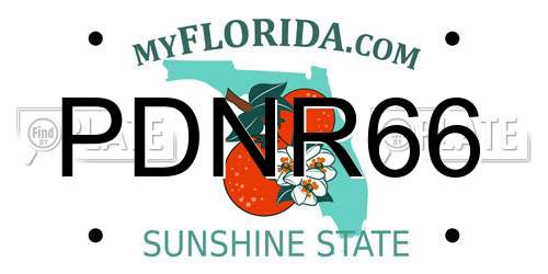 PDNR66 Florida License Plate
