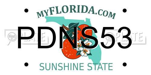 PDNS53 Florida License Plate