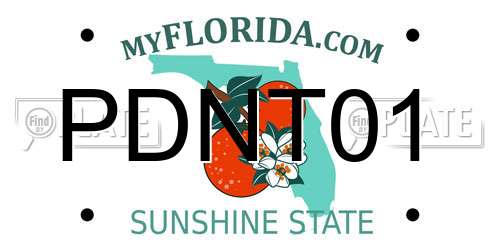 PDNT01 Florida License Plate