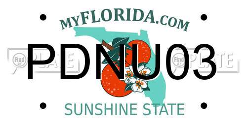 PDNU03 Florida License Plate