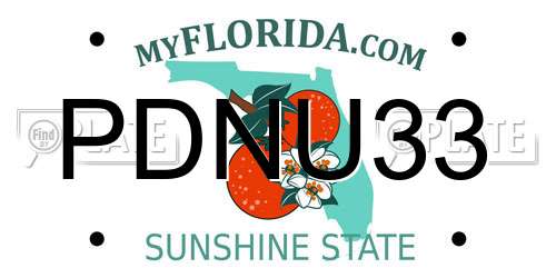 PDNU33 Florida License Plate