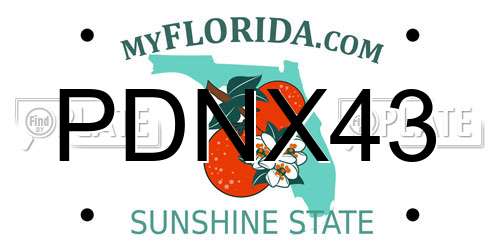 PDNX43 Florida License Plate