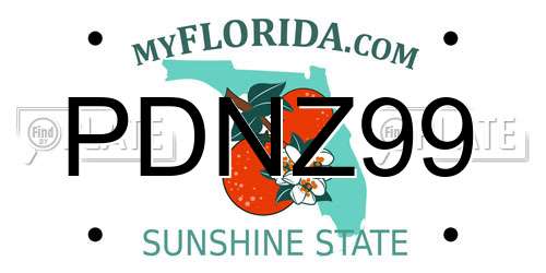 PDNZ99 Florida License Plate