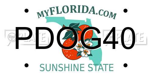 PDOG40 Florida License Plate