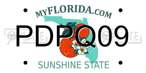 PDPQ09 Florida License Plate