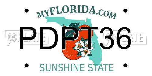 PDPT36 Florida License Plate